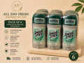 Speed Stick Regular Deodorant for Men 3 oz All Day Fresh Pack of 6